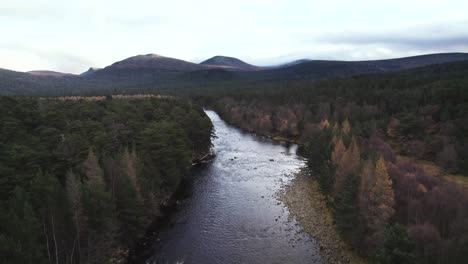 aerial drone footage above a river and forest revealing a mountain landscape in the cairngorms, scotland with scots pine, birch and larch trees on the river banks near braemar in autumn