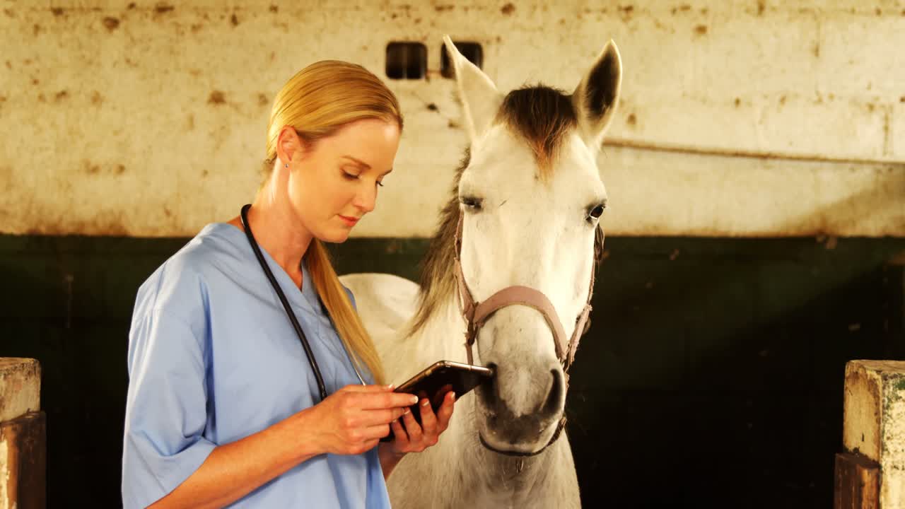 médico veterinario que usa una tableta digital 4k