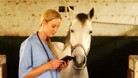 Veterinarian-doctor-using-digital-tablet-4k