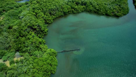 Wide-aerial-shot-of-rusty-leaking-pipe-running-into-lake-surrounded-by-mangroves,-dumping-sewage