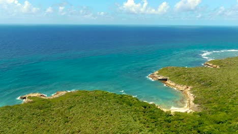 tropical island, rainforest forest tree dense canopy, aerial paradise puerto rico