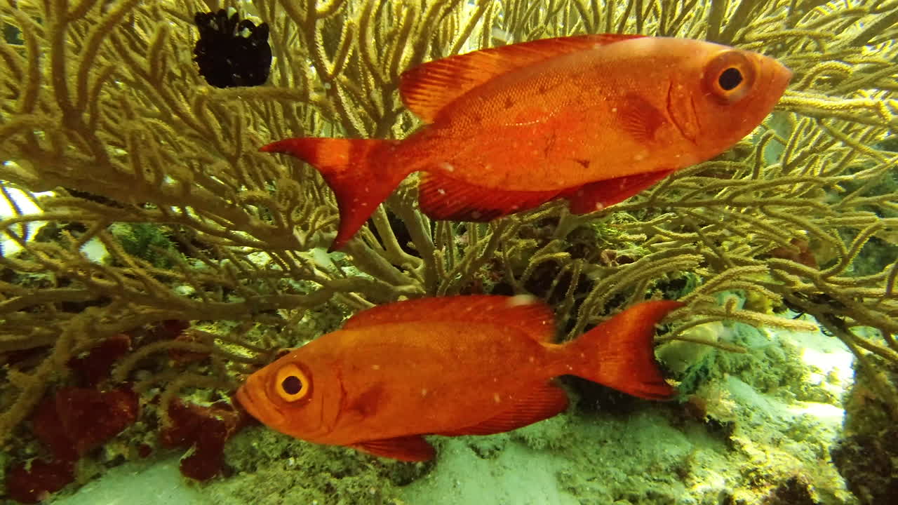 почему? привет.