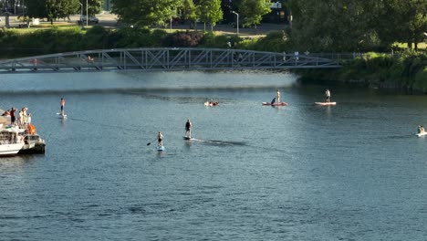 people paddle boarding and riding electric surfboards in lake union, seattle