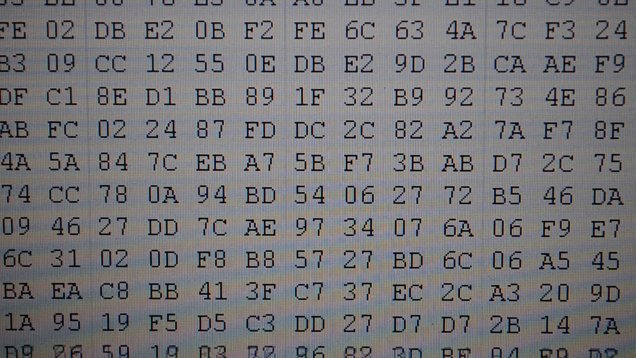 Shooting of the binary. Table of the binary. Hexadecimal program code on screen. Animated background of moving binary code numbers