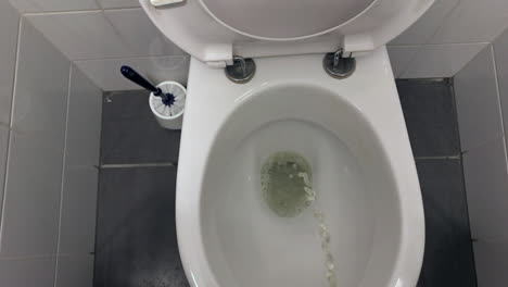 peeing in a toilet bowl from a standing point of view