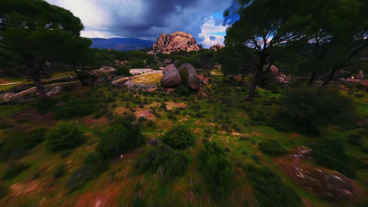 la naturaleza salvaje intocable del pavo