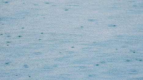 abstract background, rain drops on the water.