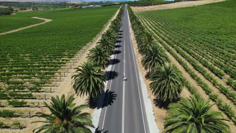 A-couple-walking-down-a-long-straight-road-in-Barossa-Valley,-South-Australia