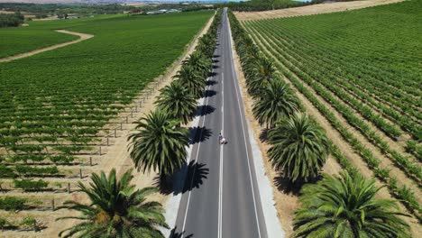 a couple walking down a long straight road in barossa valley, south australia