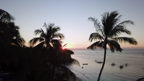 amanecer a través de palmeras en filipinas