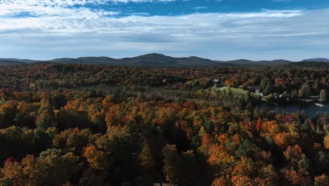 Drohne-Bewegt-Sich-Langsam-über-Ein-Helles,-Mehrfarbiges-Herbstwaldland