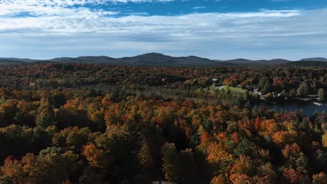drone slowly moving over a bright multi-colored autumn forestland