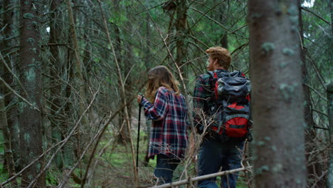 mujer y hombre caminando en el bosque. turistas sonrientes teniendo una aventura en el bosque