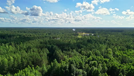 Aerial-View-of-Vast-Green-Forest-under-Blue-Sky