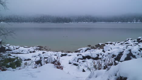 Snowy-Eibsee-lake-shoreline-under-misty-Bavarian-woodland-wilderness