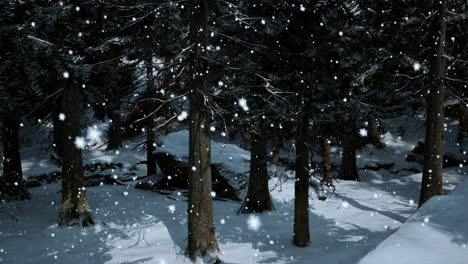 snowy forest at night