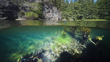 fjord sur et sous l'eau vue partagée