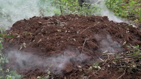 Ein-Erdhaufen-Raucht,-Während-Im-Ländlichen-Afrika-Holzkohle-Hergestellt-Wird