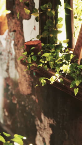 ruined abandoned overgrown by plants interior