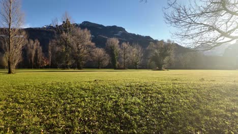 rural field grass nature outdoor sun glare sunrise switzerland countryside europe