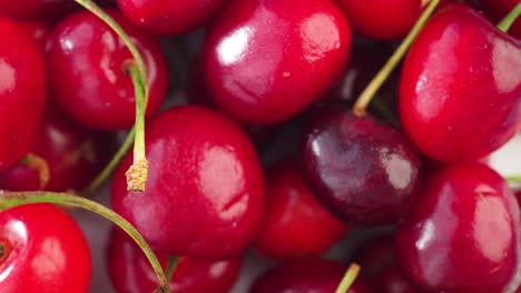 primer plano de las cerezas frescas