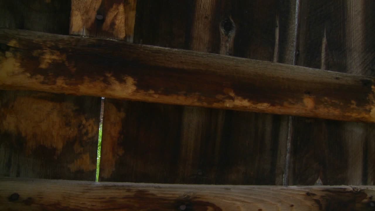 una buena foto de viaje revela el pueblo fantasma en animas forks colorado