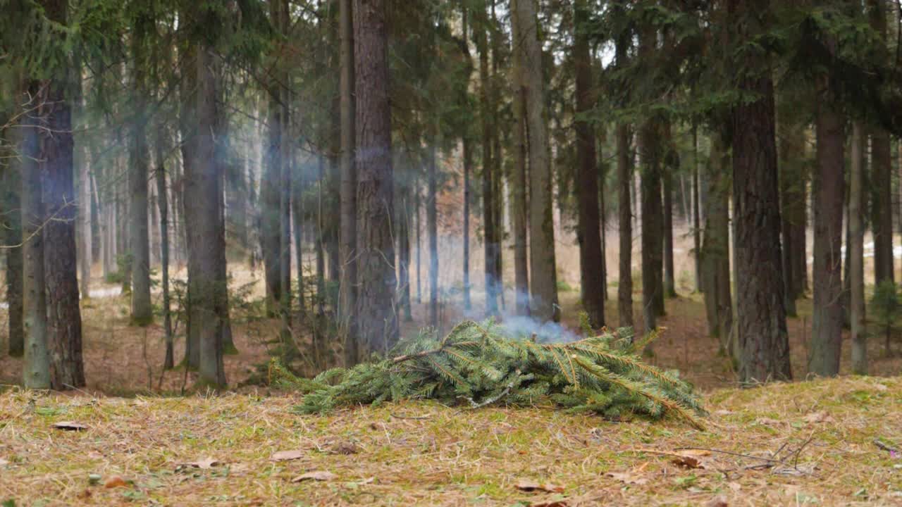 Slowmotion of exploding Christmas tree.