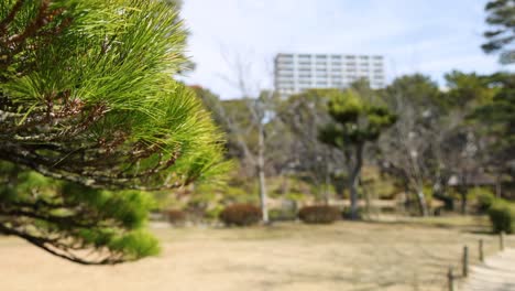 a single pine tree moves gently in a serene park.