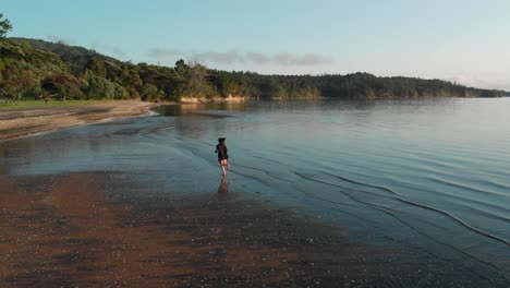 Drone-Aéreo-Siguiendo-La-Vista-De-Una-Chica-Corriendo-En-La-Playa-De-Cornwallis-En-Auckland,-Nueva-Zelanda,-Colores-Matutinos-En-Cámara-Lenta