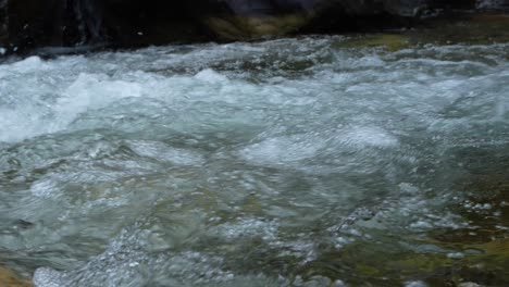 water is flowing through a mountain torrential river.