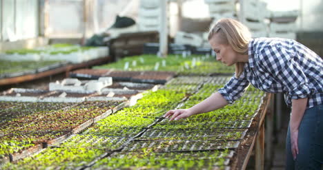 Young-Female-Botanist-Examining-Potted-Plant-4