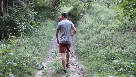 man walking in the green forest - shot from behind