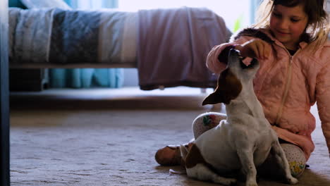 la niña se sienta y juega con la mascota jack russell terrier