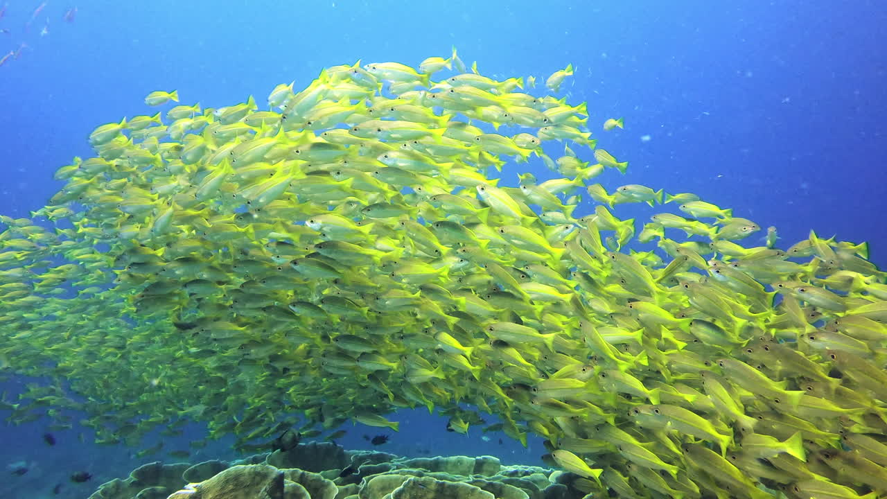 학교가 끝난 것 같네요