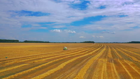 Ripe harvest concept. Green combine in field. Crop panorama. Cereal or wheat gathering. Heavy machinery. Blue sky above field.