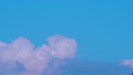 lapso de tiempo de hermosas nubes esponjosas blancas en movimiento rápido y cielo en un día soleado, plano medio