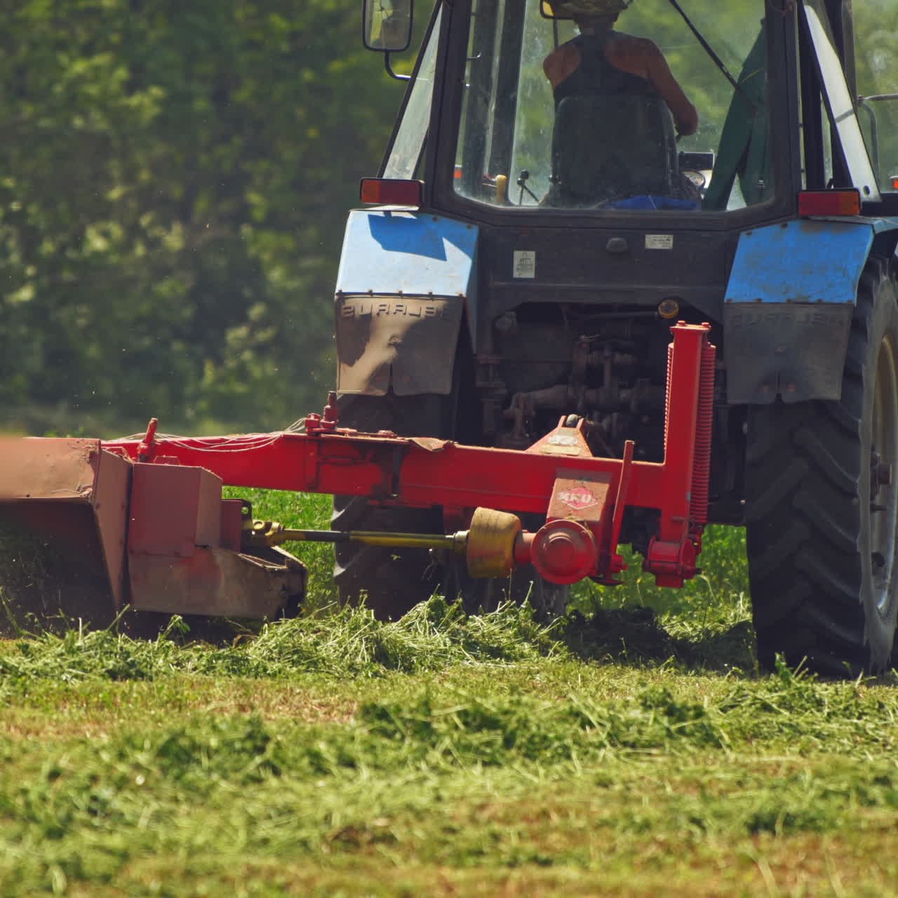 Tractor is cutting green grass on the field near the forest. Agricultural works in the green field during seasonal works for preparing fodder for livestock in summer.