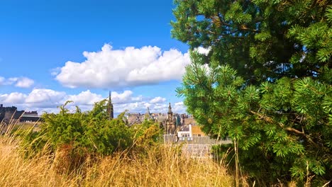 edinburgh cityscape with pine trees and grass