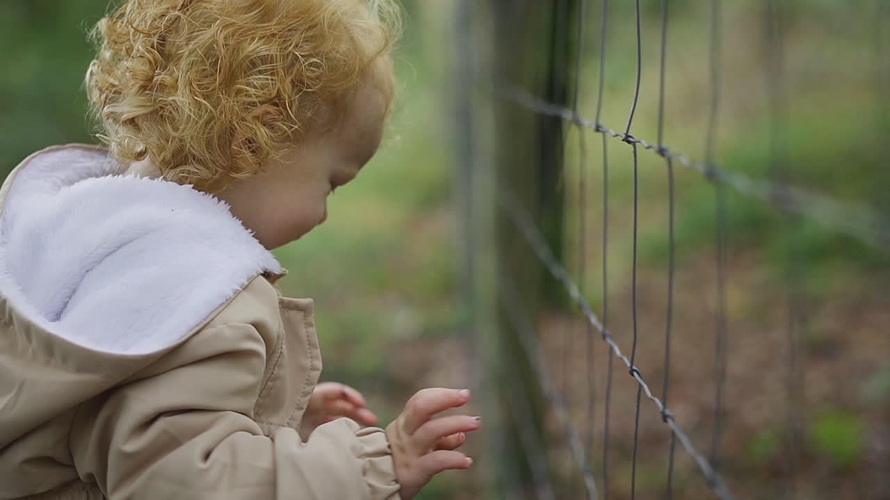 Caucasian toddler putting old leafs through the fence, while enjoying the outdoor forest environment