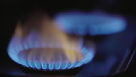 close-up of a fire in a gas stoker on a gas stove