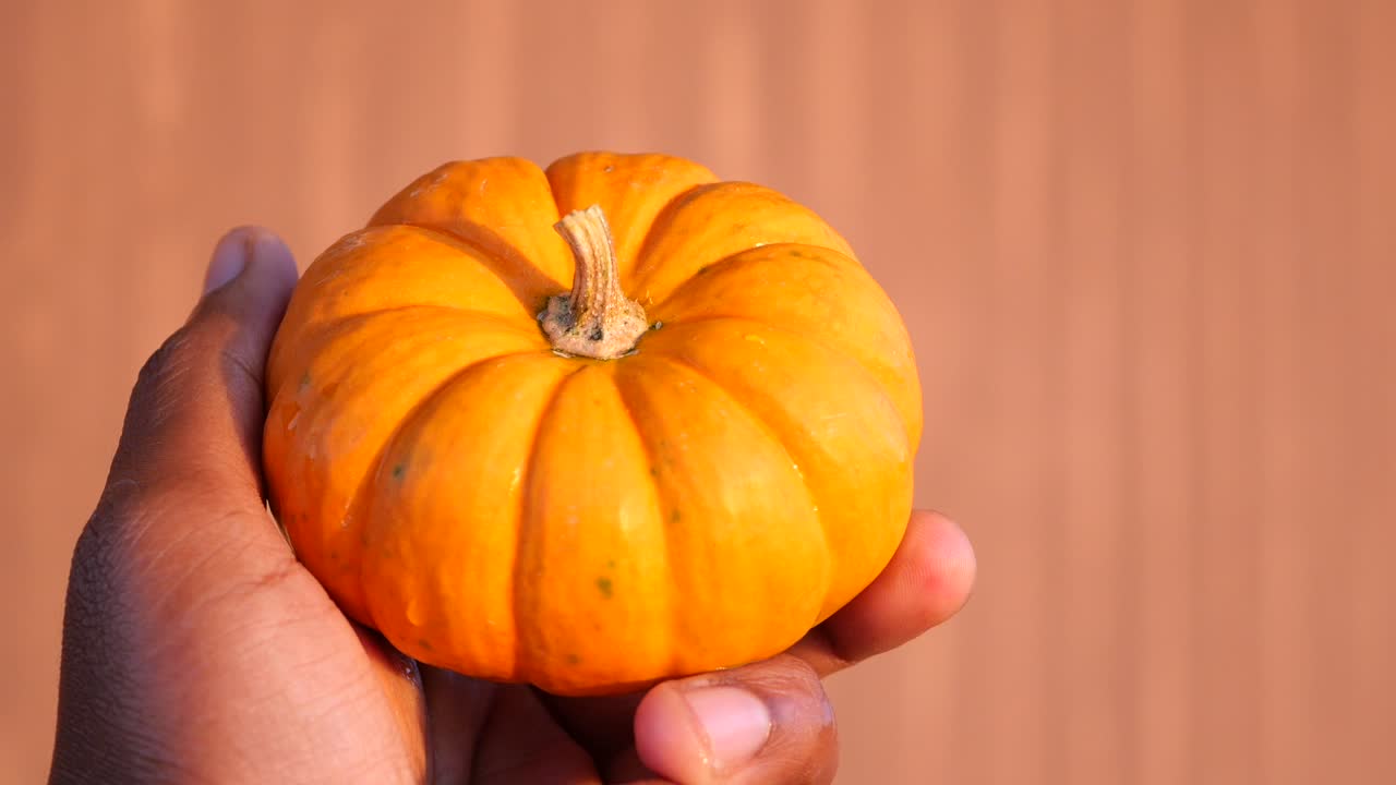 손에 작은 오렌지 호박