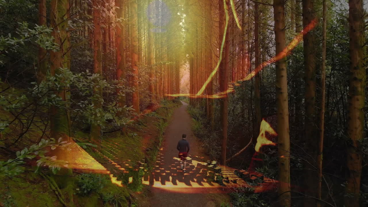 Persona che cammina su un sentiero nel bosco con animazione di motivi luminosi astratti sugli alberi.