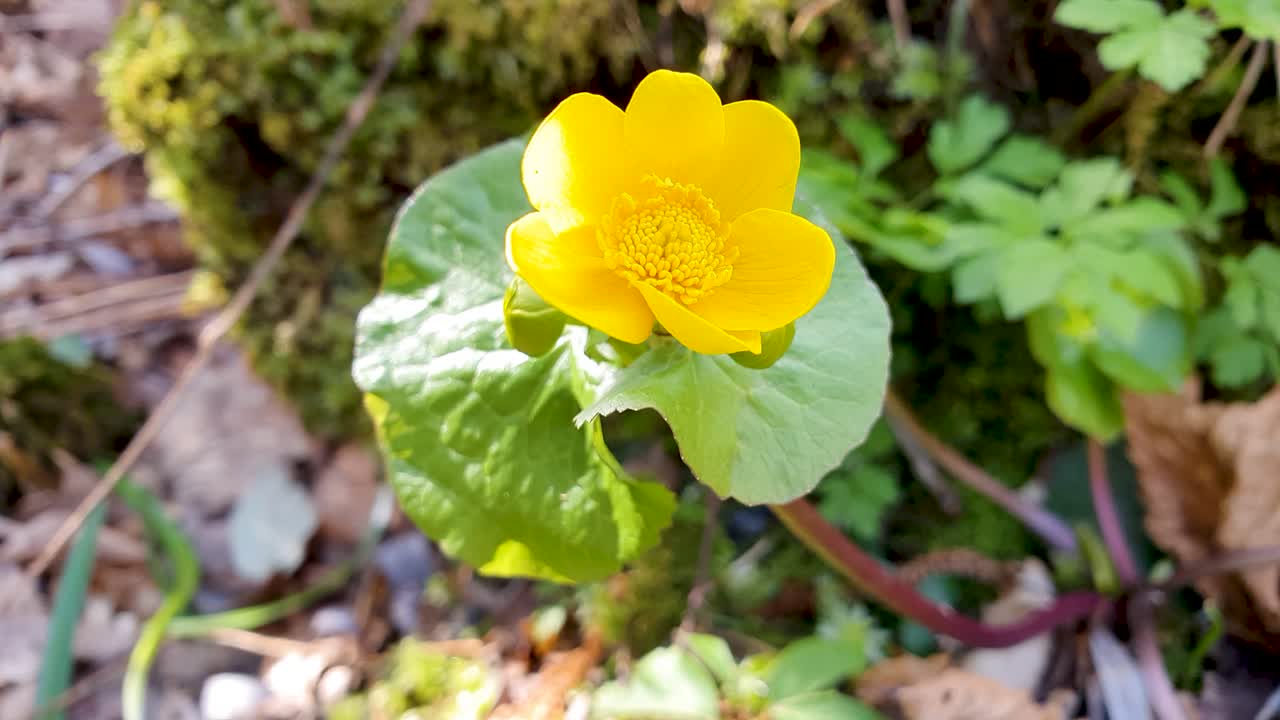 st의 클로즈업 뷰
