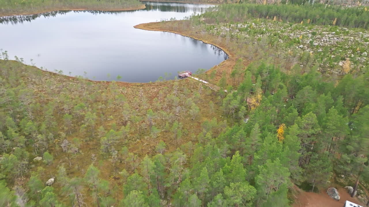 bosque de abeto con follaje de otoño cerca del lago calm en suecia