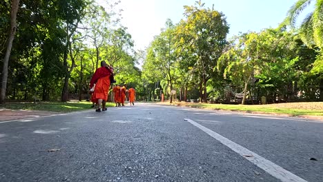 monks in orange robes walking on a road