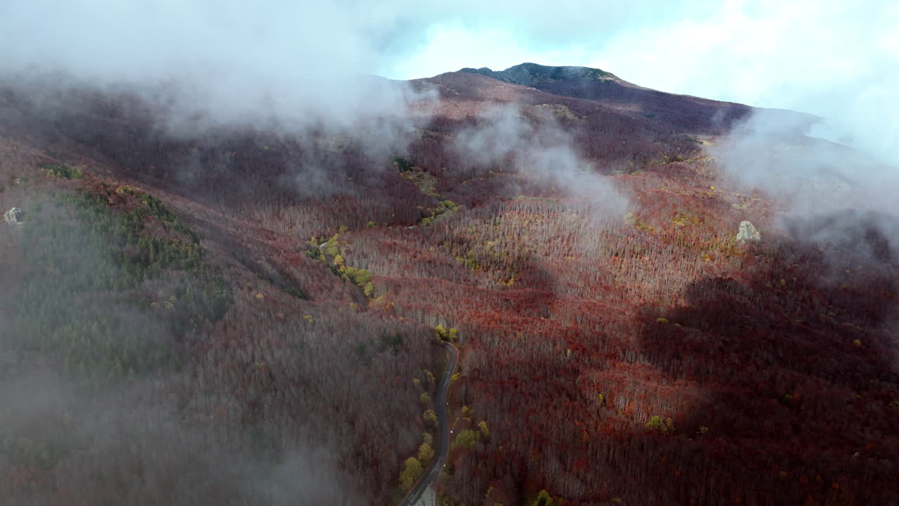 Misty autumn mountain view with colorful forest and winding road