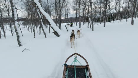 Un-Equipo-De-Perros-De-Trineo-Tirando-De-Un-Trineo-A-Través-De-Un-Paisaje-Nevado,-Cámara-De-Acción-De-Punto-De-Vista,-Cámara-Lenta