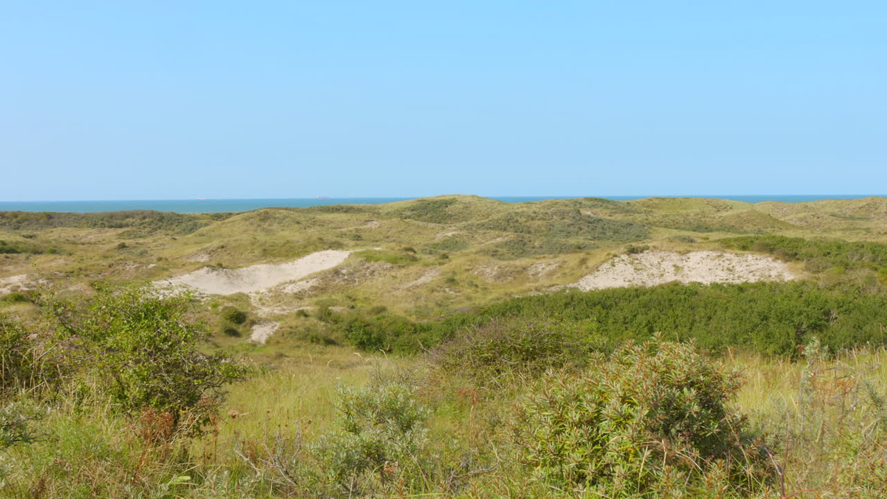 Serene Coastal Dune Landscape