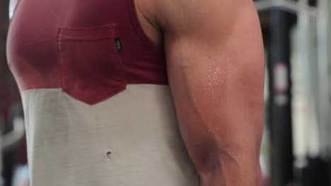 strong athletic man doing barbell bicep curls in the gym