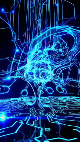 visualización de las redes neuronales
